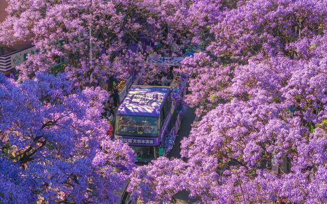 优服务繁荣文旅市场AG真人国际以更(图10)